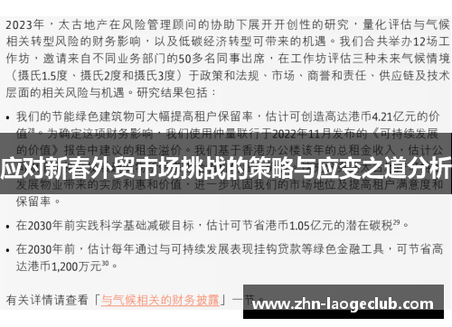 应对新春外贸市场挑战的策略与应变之道分析