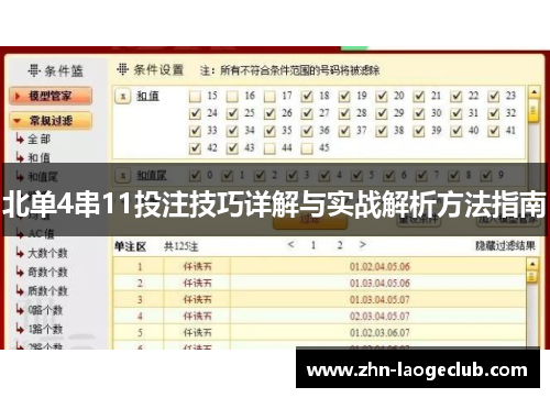 北单4串11投注技巧详解与实战解析方法指南