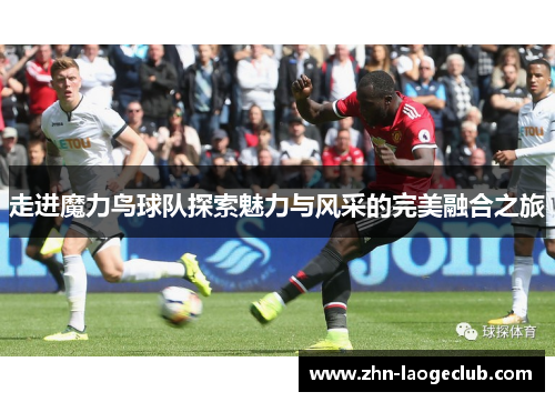 走进魔力鸟球队探索魅力与风采的完美融合之旅