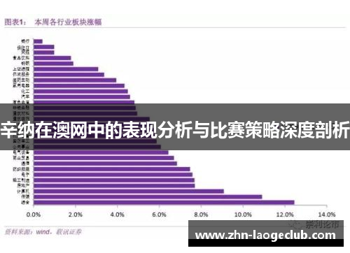 辛纳在澳网中的表现分析与比赛策略深度剖析