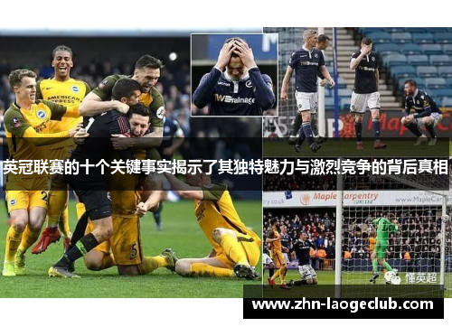 英冠联赛的十个关键事实揭示了其独特魅力与激烈竞争的背后真相