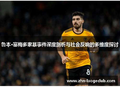 鲁本·塞梅多家暴事件深度剖析与社会反响的多维度探讨