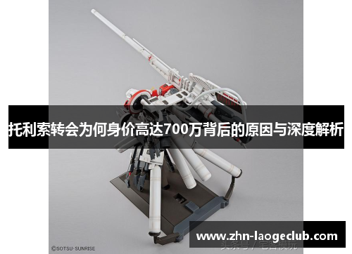 托利索转会为何身价高达700万背后的原因与深度解析